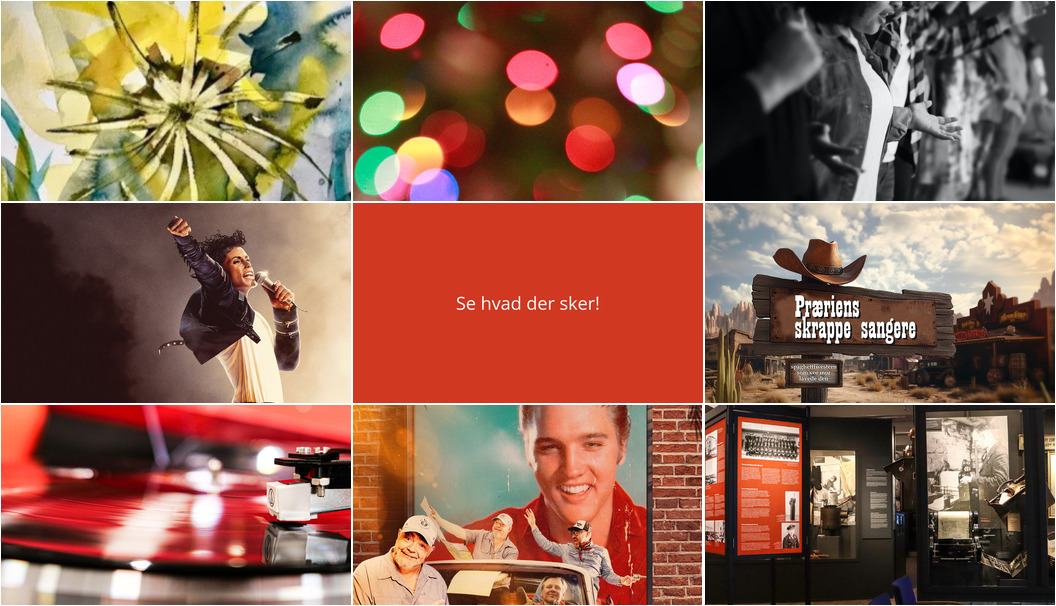 Weekendens begivenheder i Hjørring: Akvareludstilling, NADA-terapi og Elvis hyldest