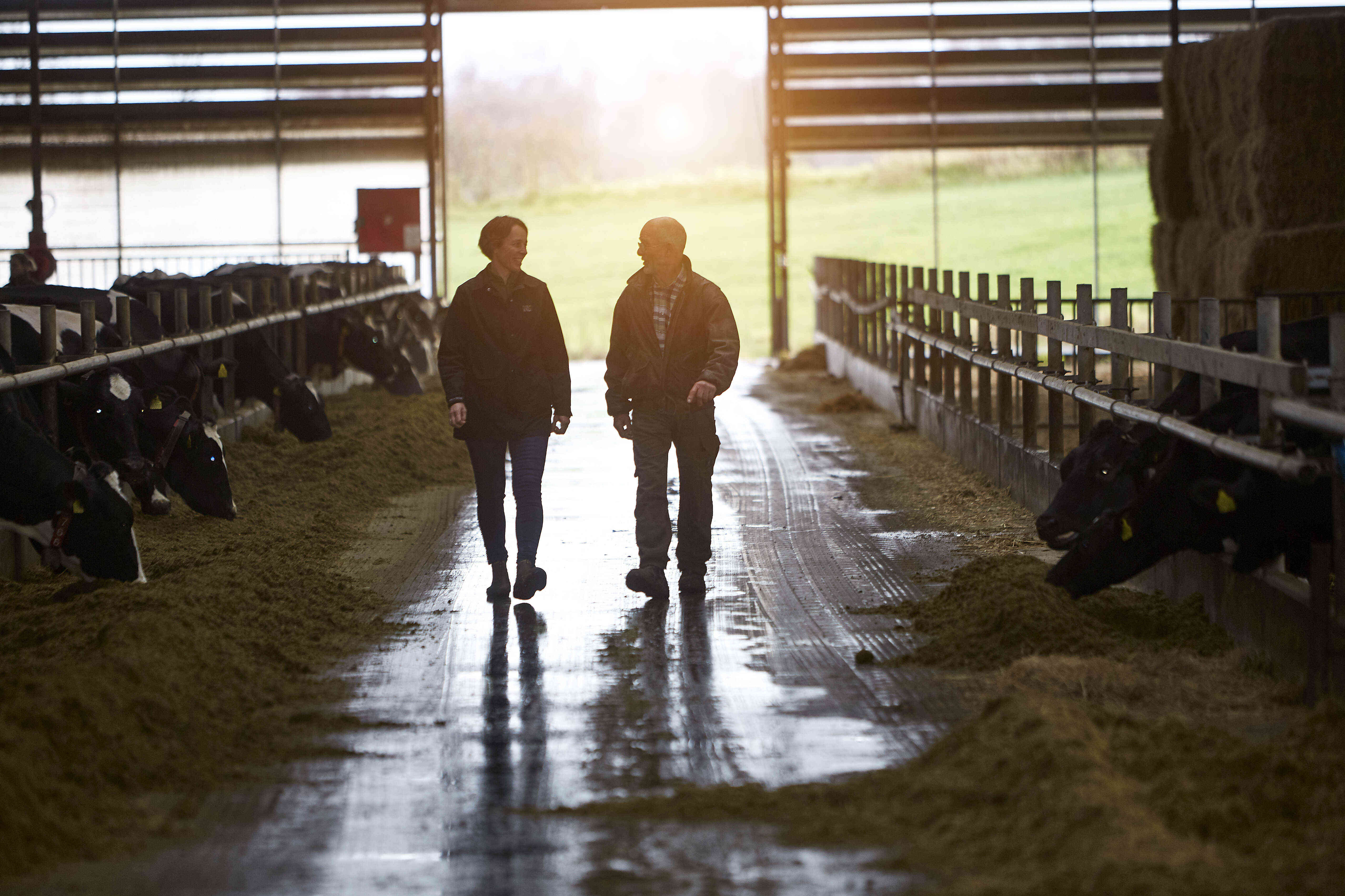 Vær med, når Claus Fenger fra Odder åbner sin gård for 4.000 danskere, så de med egne øjne kan opleve, hvordan et moderne landbrug fungerer