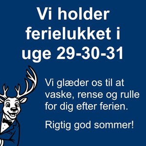 Opslagsbillede