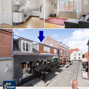 Opslagsbillede