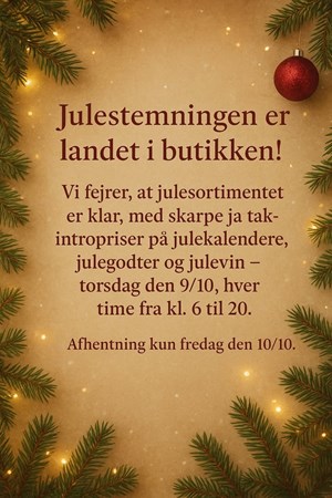 opslagsbillede