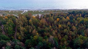Få inspiration til klimavenlige handlinger i hverdagen på Solrød Bibliotek