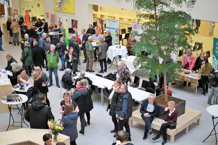 Fokus på hjernens sundhed i Vejle: Foredrag og kurser under Hjerneugen