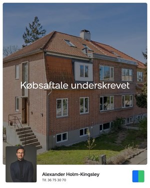 opslagsbillede