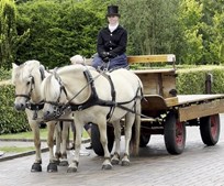 Rosen Begravelsesforretning oplever markant fremgang i 2024