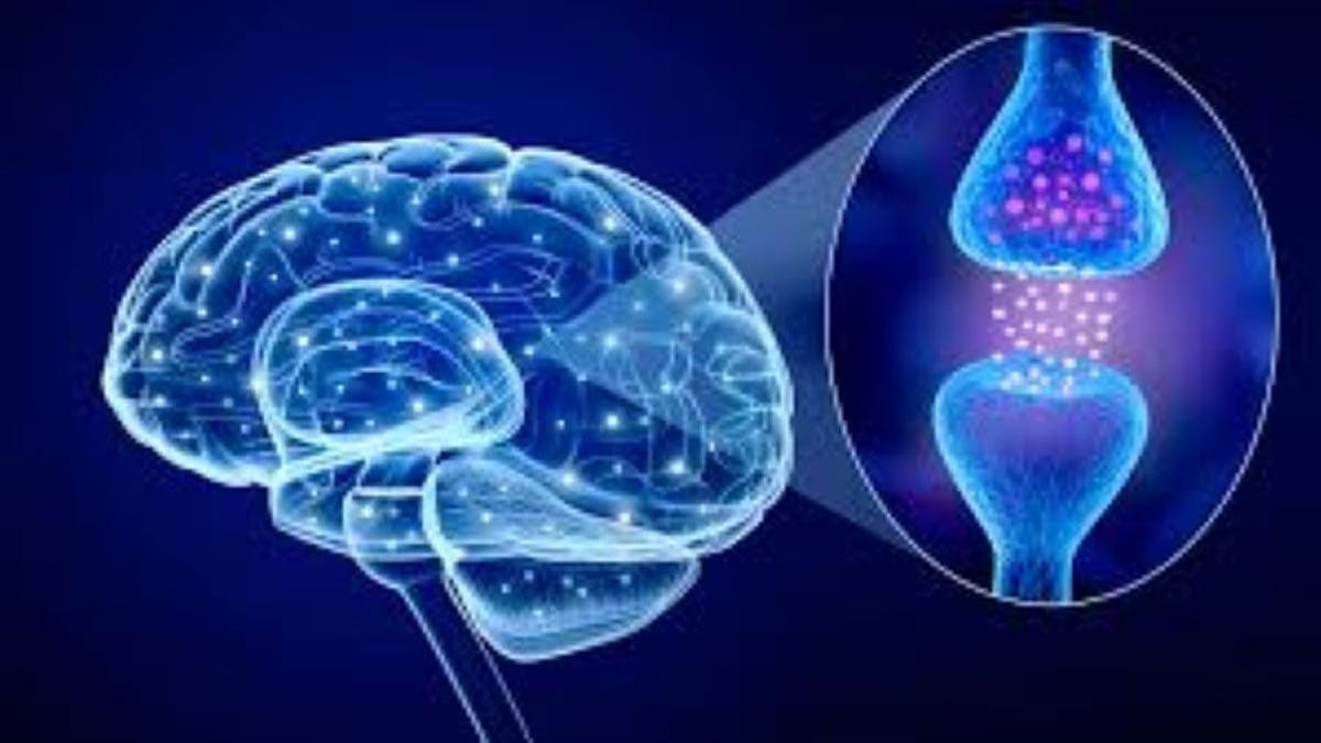 Oplev transformation med neuromedicinsk frekvensterapi i Lunderskov