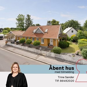 Opslagsbillede