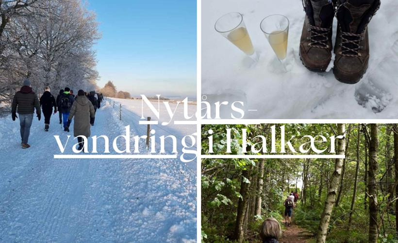 Traditionel nytårsvandring i Halkærs smukke natur