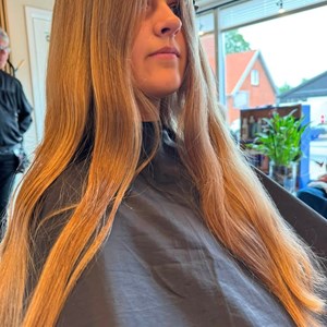 Opslagsbillede