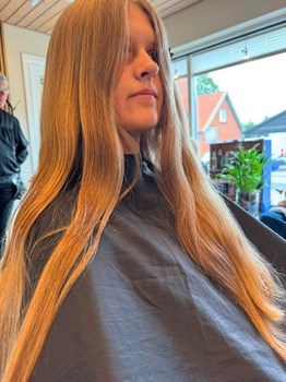 Opslagsbillede