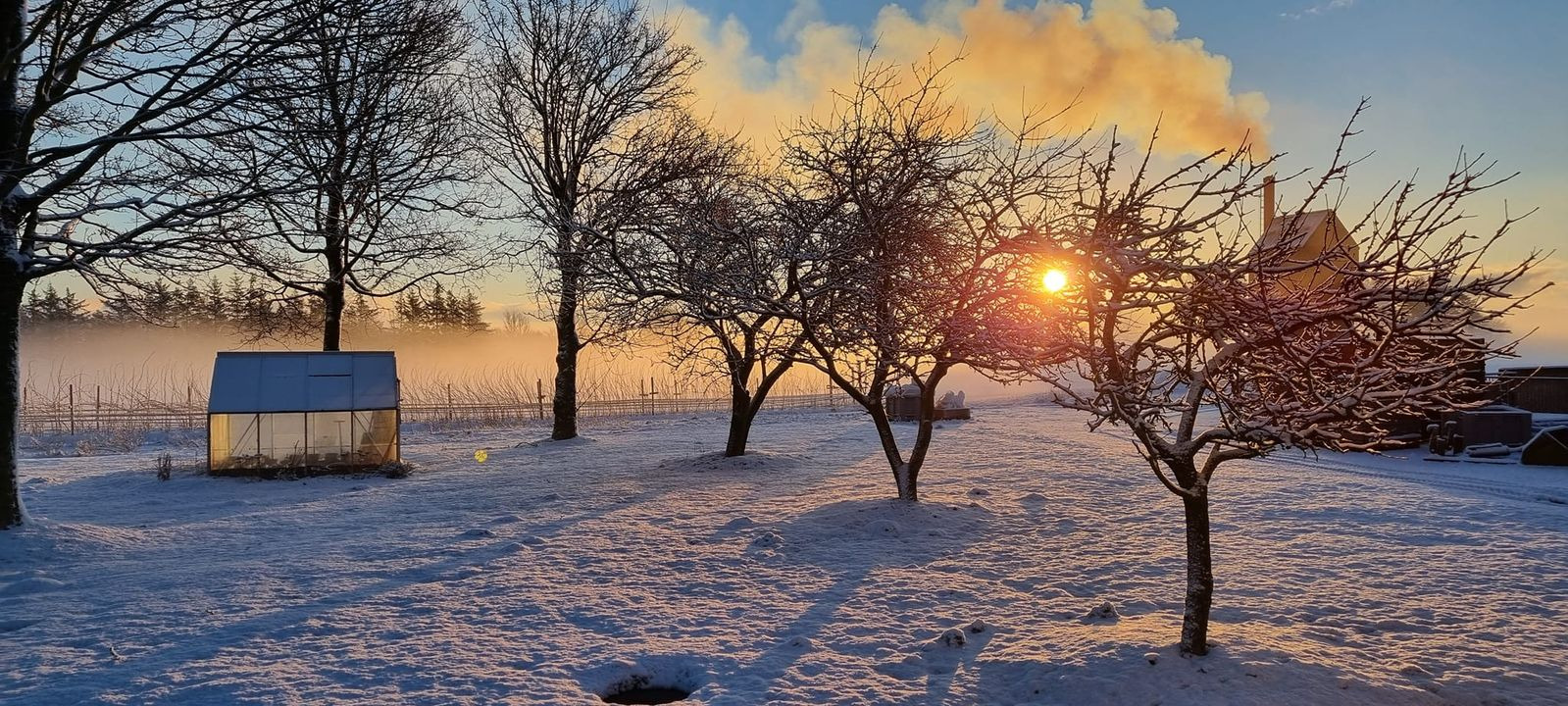 Hold trit med lokalområdet: Nyt fra Sæby
