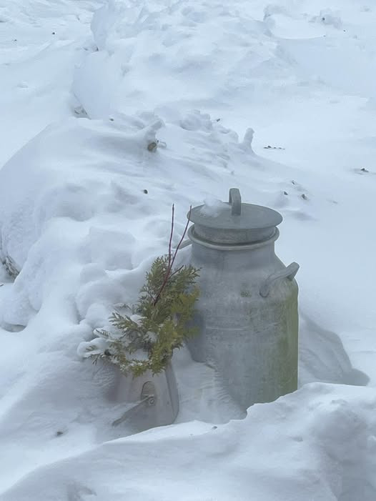 By Duddie holder lukket på grund af dårligt vejr i dag