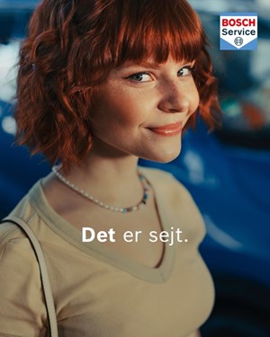 opslagsbillede