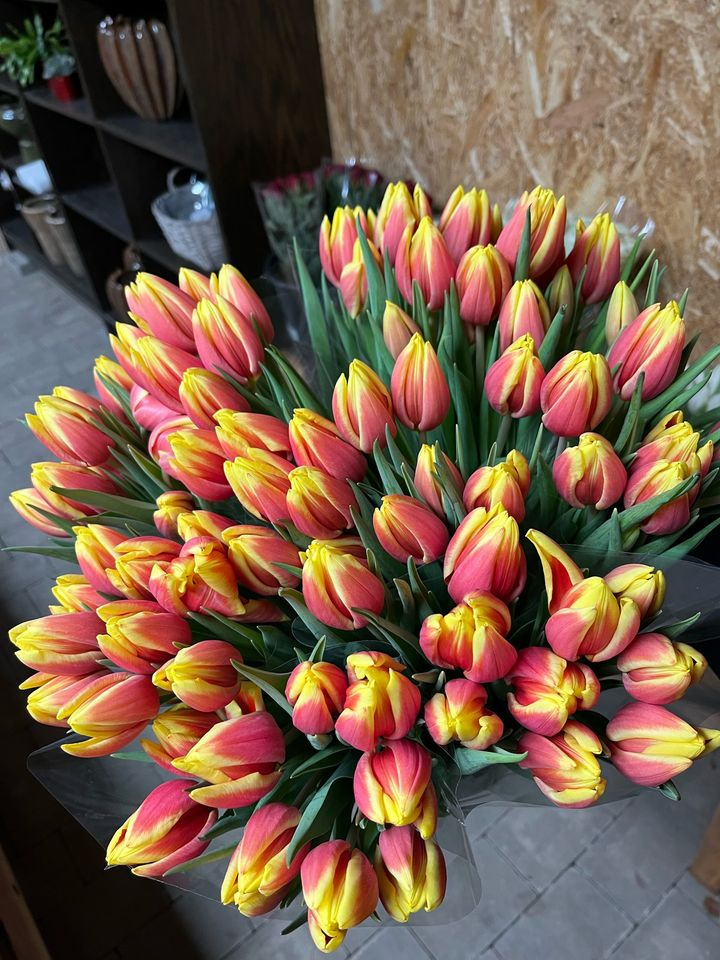 Det nyeste på Horsens’ opslagstavle