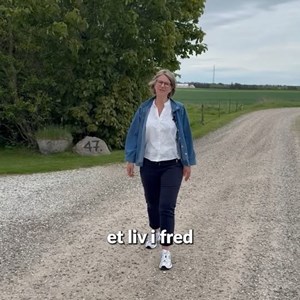 Opslagsbillede