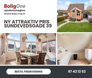 opslagsbillede