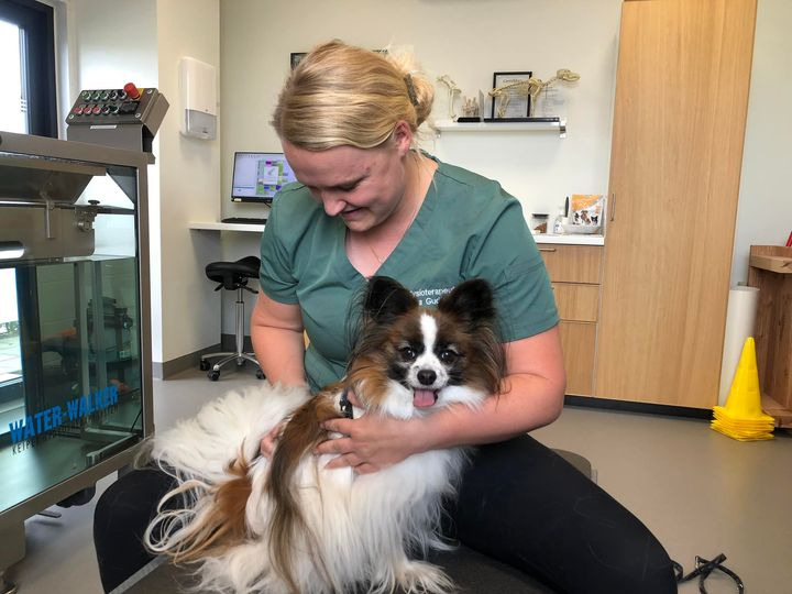 Opslagstavlen: Nyeste opdateringer fra Herning