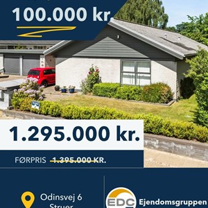 Opslagsbillede