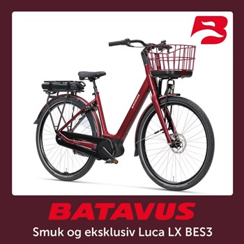 Opslagsbillede