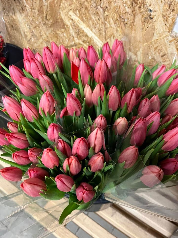 Se dagens updates fra Horsens her