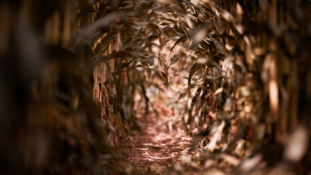 Sanselig fortælling om det overnaturlige i Øsby Kirke