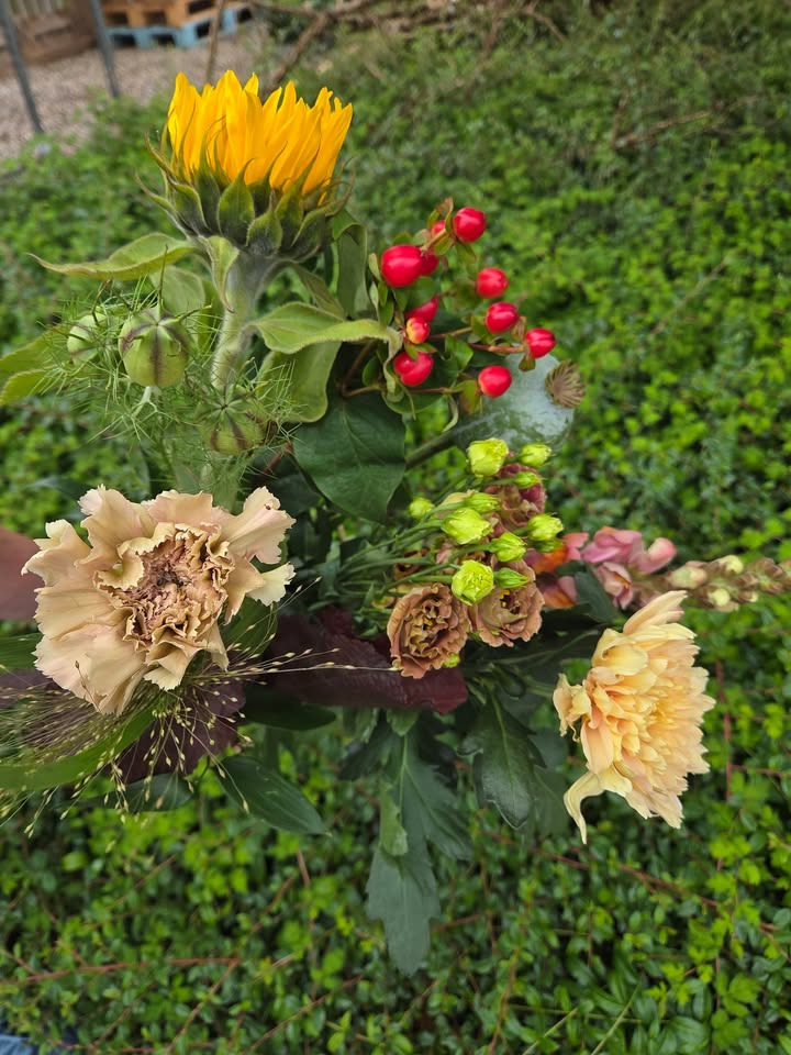 Flore Vida præsenterer weekendens flor i sommerfarver