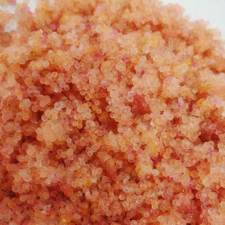 En finger på pulsen i Risskov