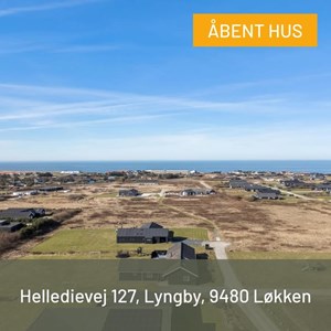 opslagsbillede