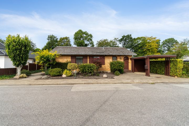 Opslagstavlen: Nyeste opdateringer fra Herning