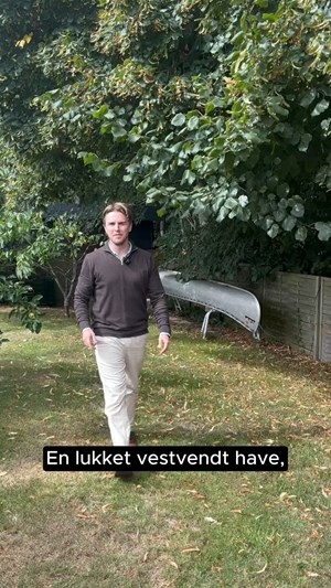 opslagsbillede
