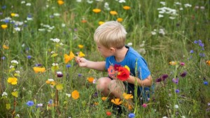 Spørgeskemaundersøgelse kortlægger livet i Billund Kommune