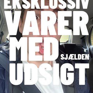 Opslagsbillede