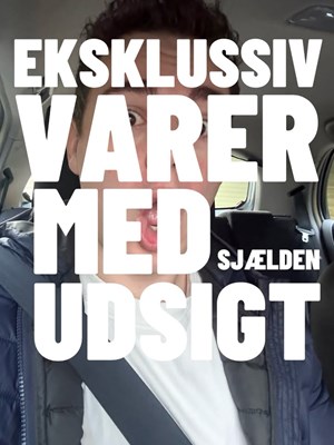 opslagsbillede