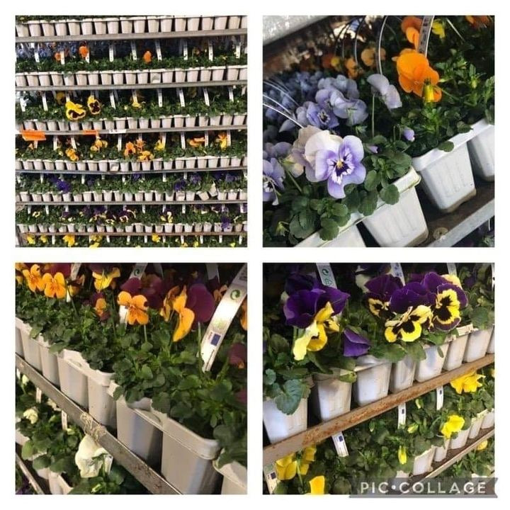 Se dagens updates fra Silkeborg her