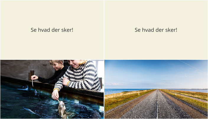 Oplevelser i Thyborøn: Hajfodring og Vintervandring ved Limfjorden