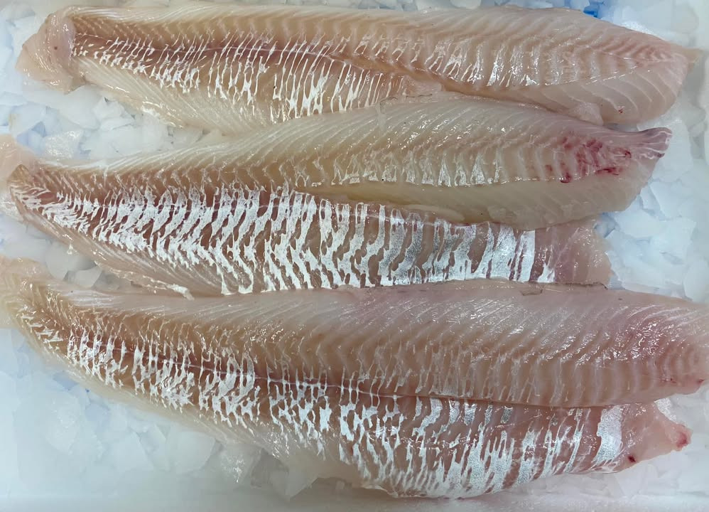 Nye friske priser hos Hanstholm Auction Buyer: Ugens fisk er torsk til 129 kr.