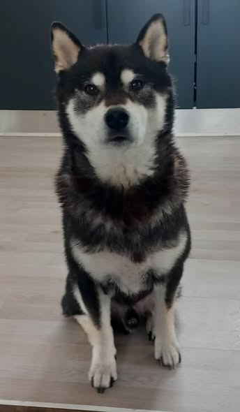 Hverdagsbevægelse og omsorg går hånd i hånd hos Fysioterapien Lund