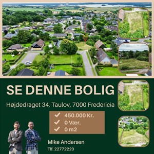 Opslagsbillede
