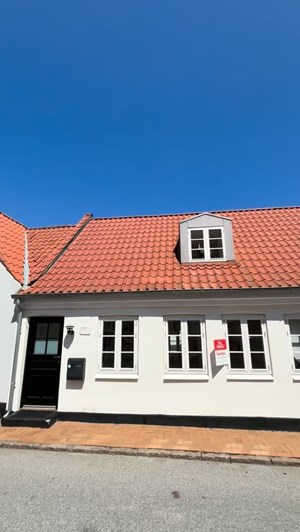 opslagsbillede