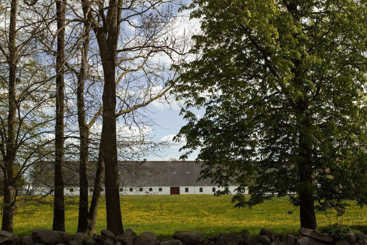 Guldborgsund Kommune satser på international kultur og turisme: Afsætter midler til tre ’Art Barns’ på Lolland og Falster