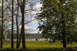 Guldborgsund Kommune satser på international kultur og turisme: Afsætter midler til tre ’Art Barns’ på Lolland og Falster