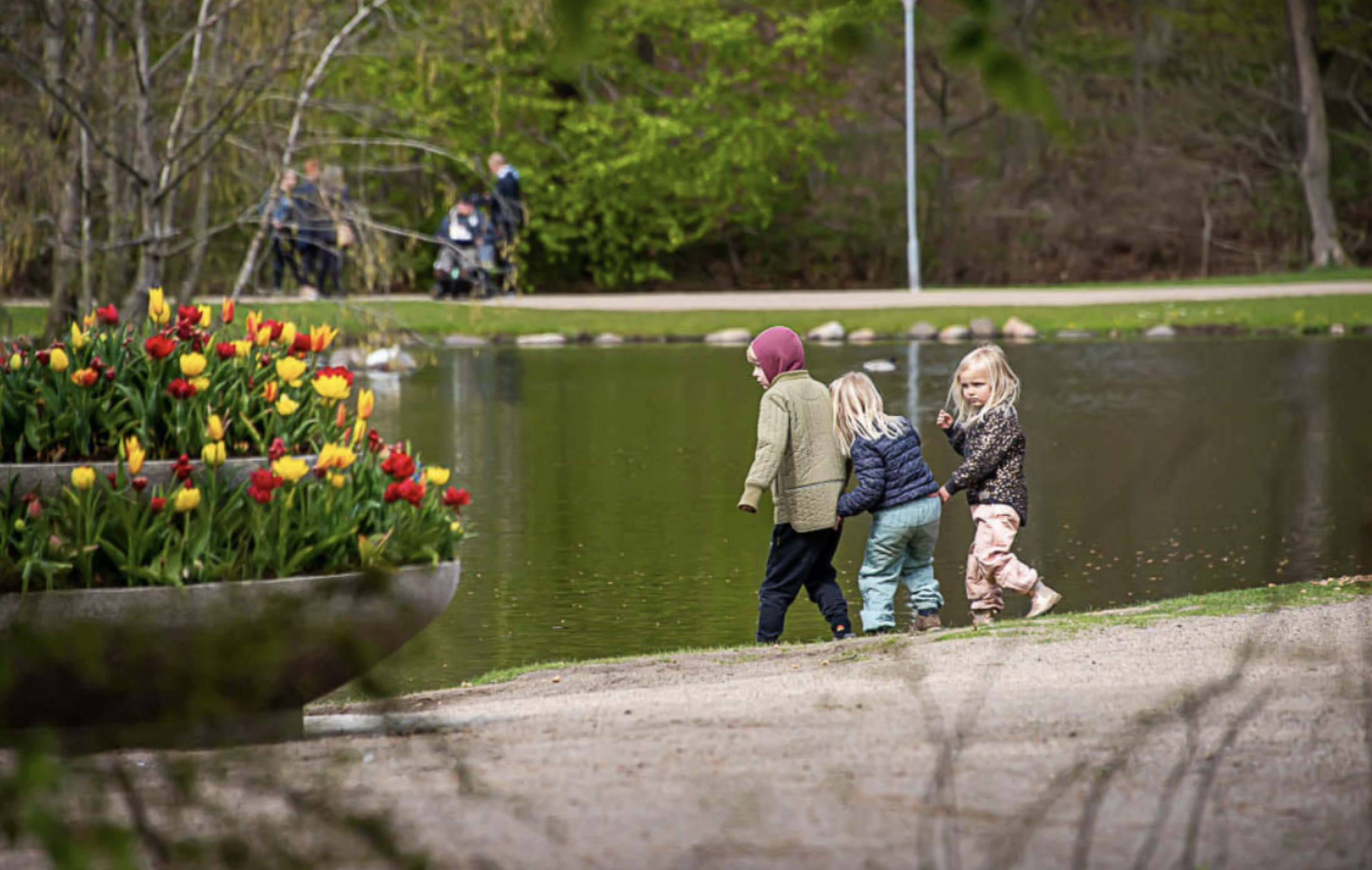 Hvem i Holstebro skal have Udsatterådsprisen, Demensprisen, Handicapprisen og Ældreprisen?