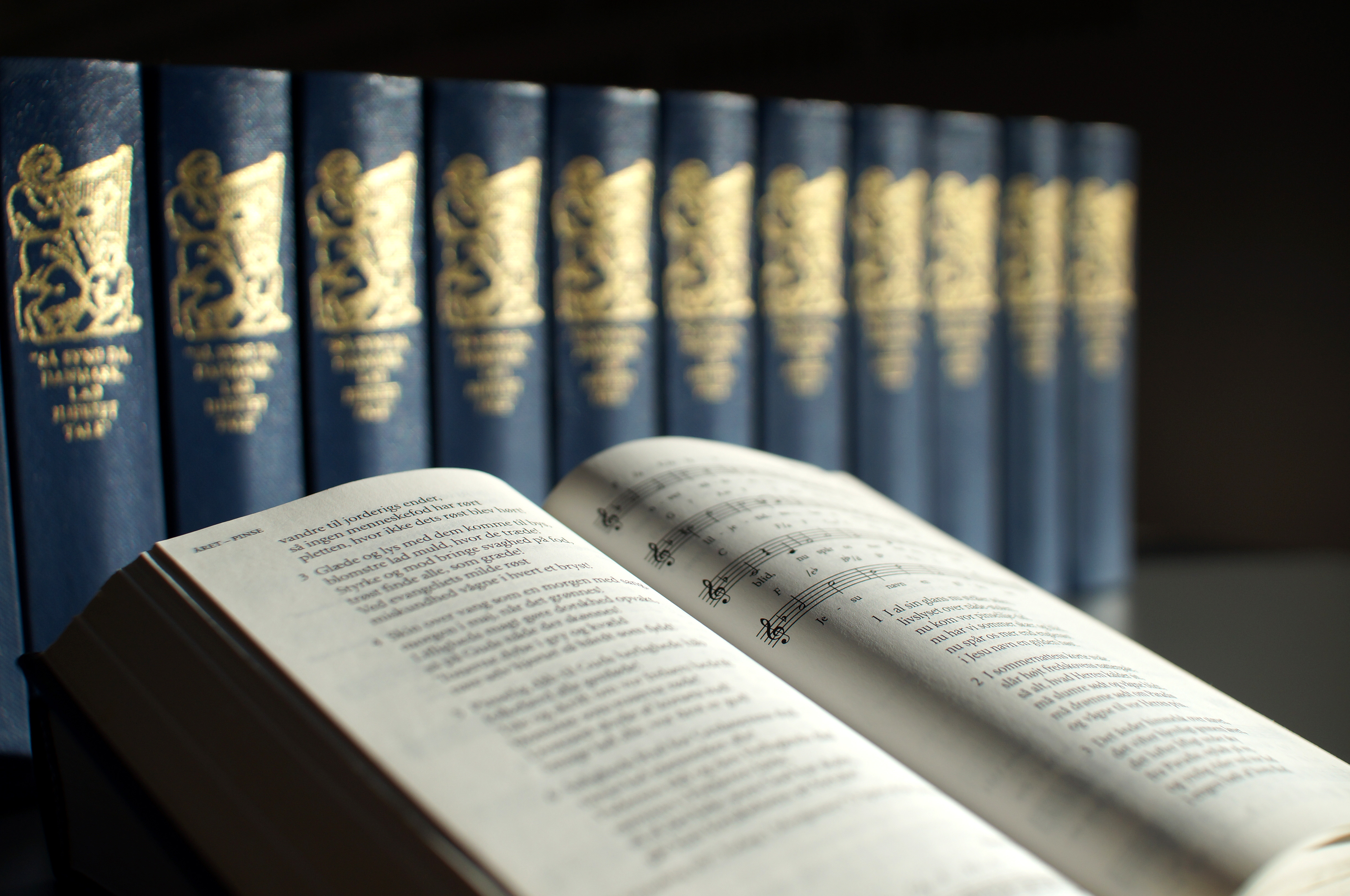 Frokostarrangement og sangeftermiddag i Viborg Domsogn