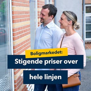 Opslagsbillede