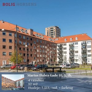 opslagsbillede