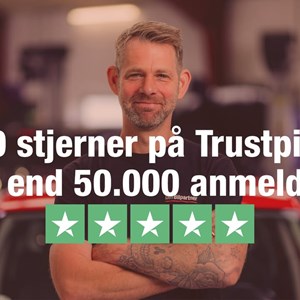 Opslagsbillede