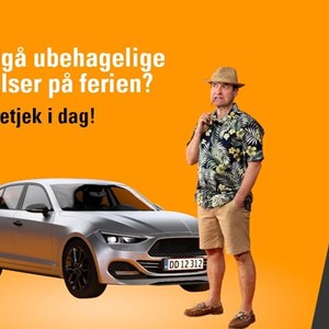Opslagsbillede