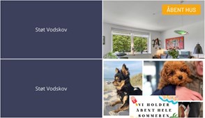 Nyt fra Mæglerhuset og Vodskov Dyreklinik v/Thorstein Arnason