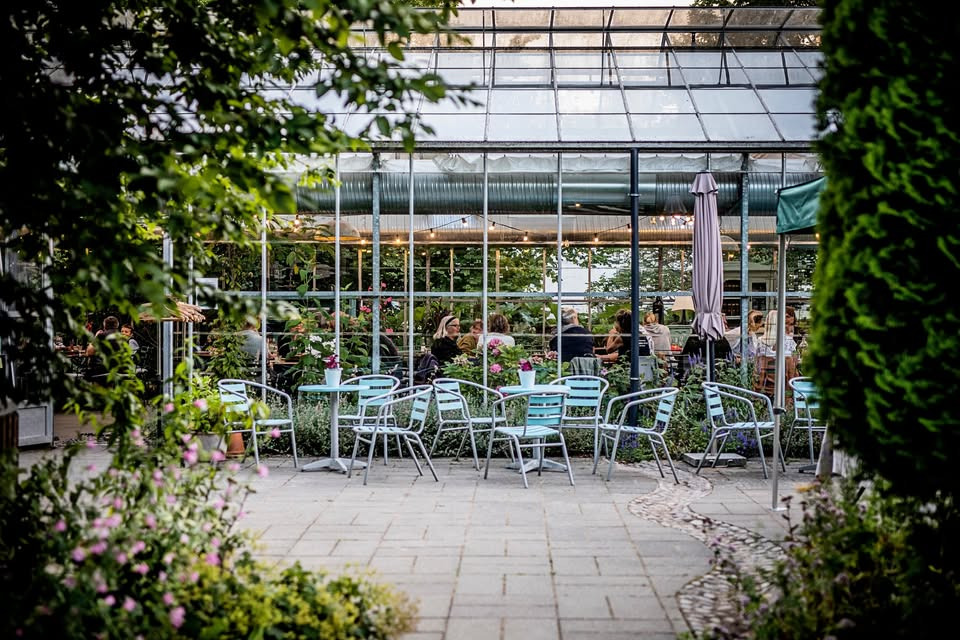 Økologisk brunch i smukke rammer i Væksthuset