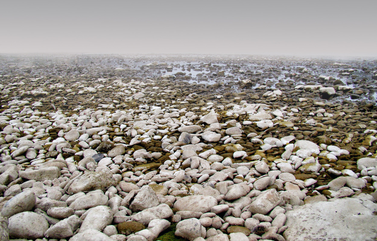 Projekt i Brønderslev Kommune sætter fokus på lavbundsarealer som en del af DK2020-planen